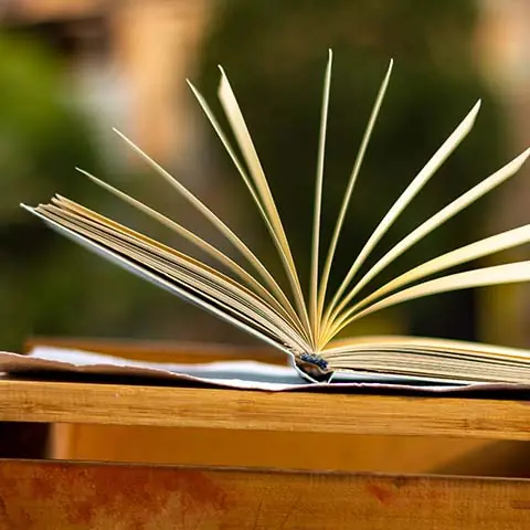 Bookbinding - Aflore Books - Art and Crafts 3