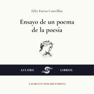 Ebook Ensayo de un poema de la poesía - Editorial Aflore Libros