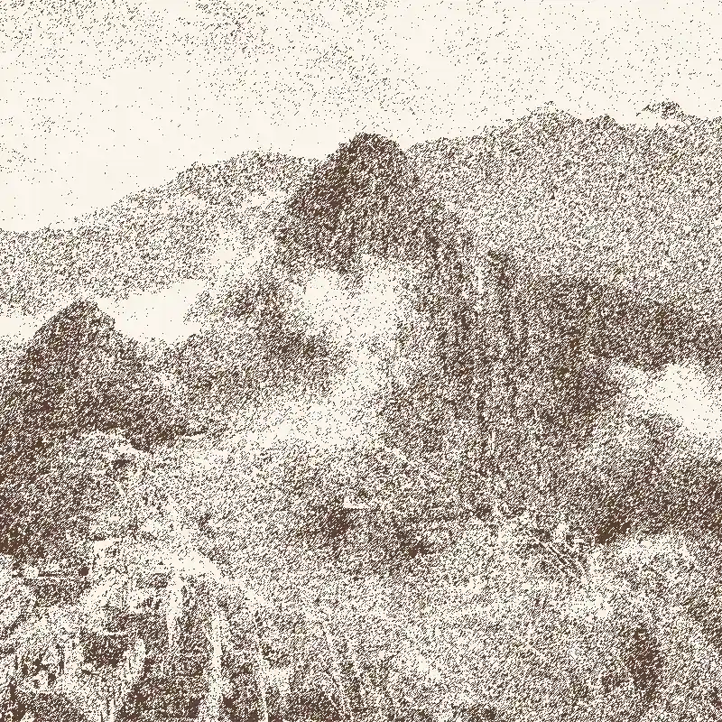 An stylized photography of Machu Picchu in the background.